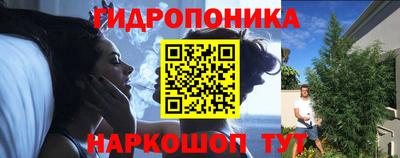 крисы Беслан
