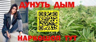 крисы Беслан