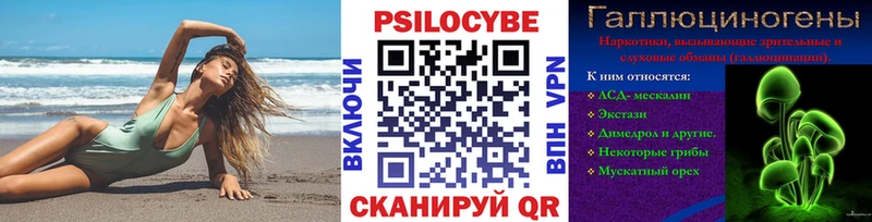 Псилоцибиновые грибы мицелий  где купить   Городец 