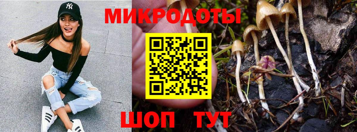 Галлюциногенные грибы ЛСД  Вход с VPN  Галлюциногенные грибы мухоморы  Городец 