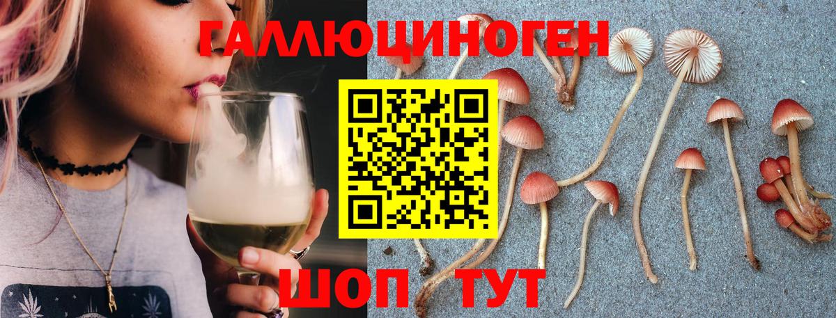 Псилоцибиновые грибы Psilocybe  купить  цена  Псилоцибиновые грибы GOLDEN TEACHER  Городец 