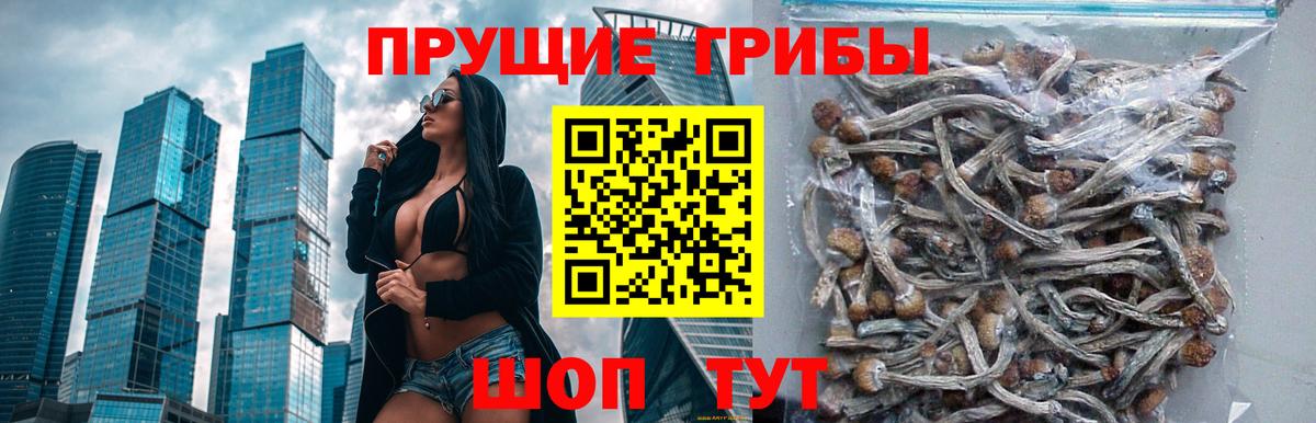 Галлюциногенные грибы Magic Shrooms Городец
